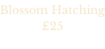 Blossom Hatching 25