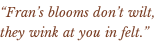 “Fran’s blooms don’t wilt,  they wink at you in felt.”